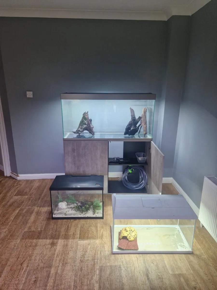 Aquariums x3 - Image 1