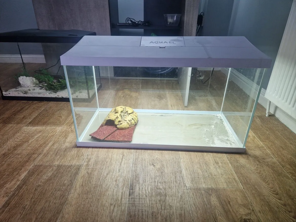 Aquariums x3 - Image 2
