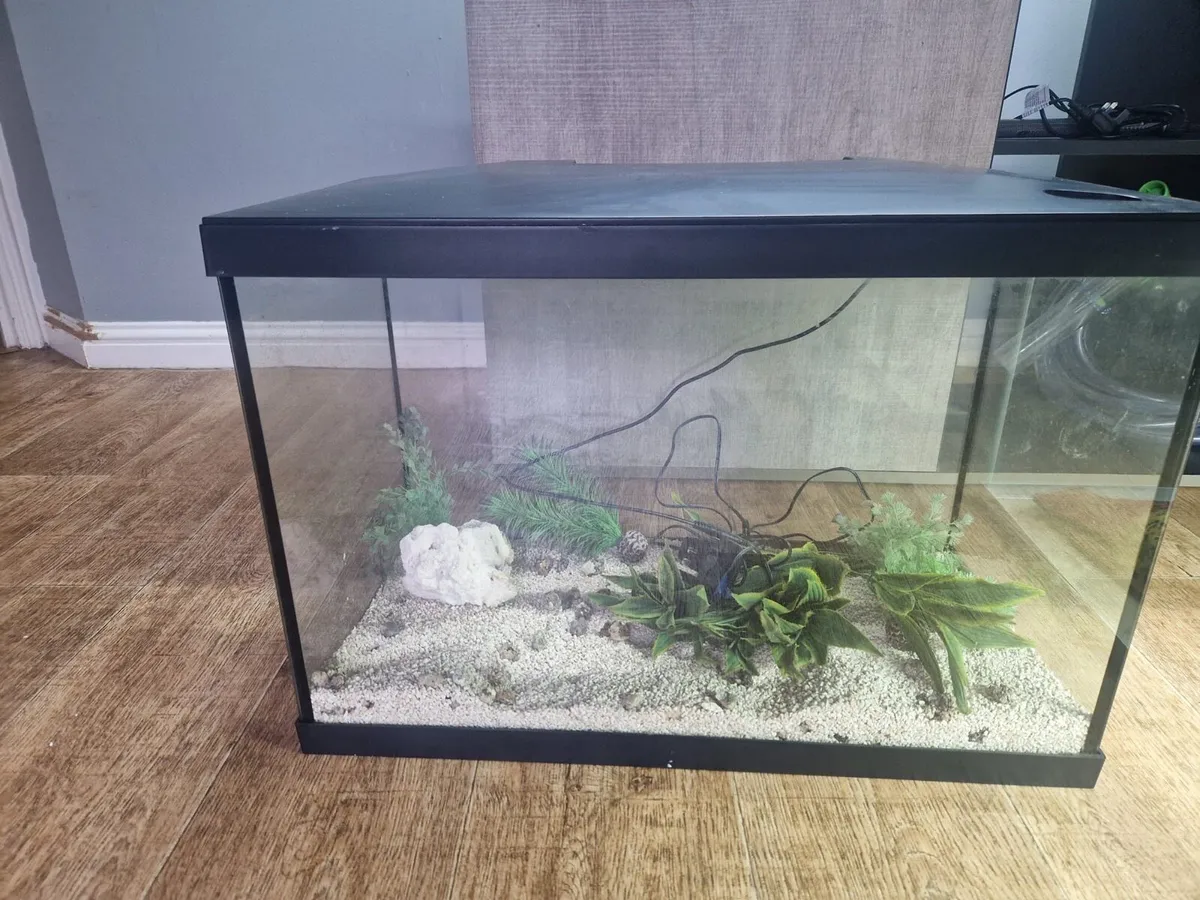 Aquariums x3 - Image 3