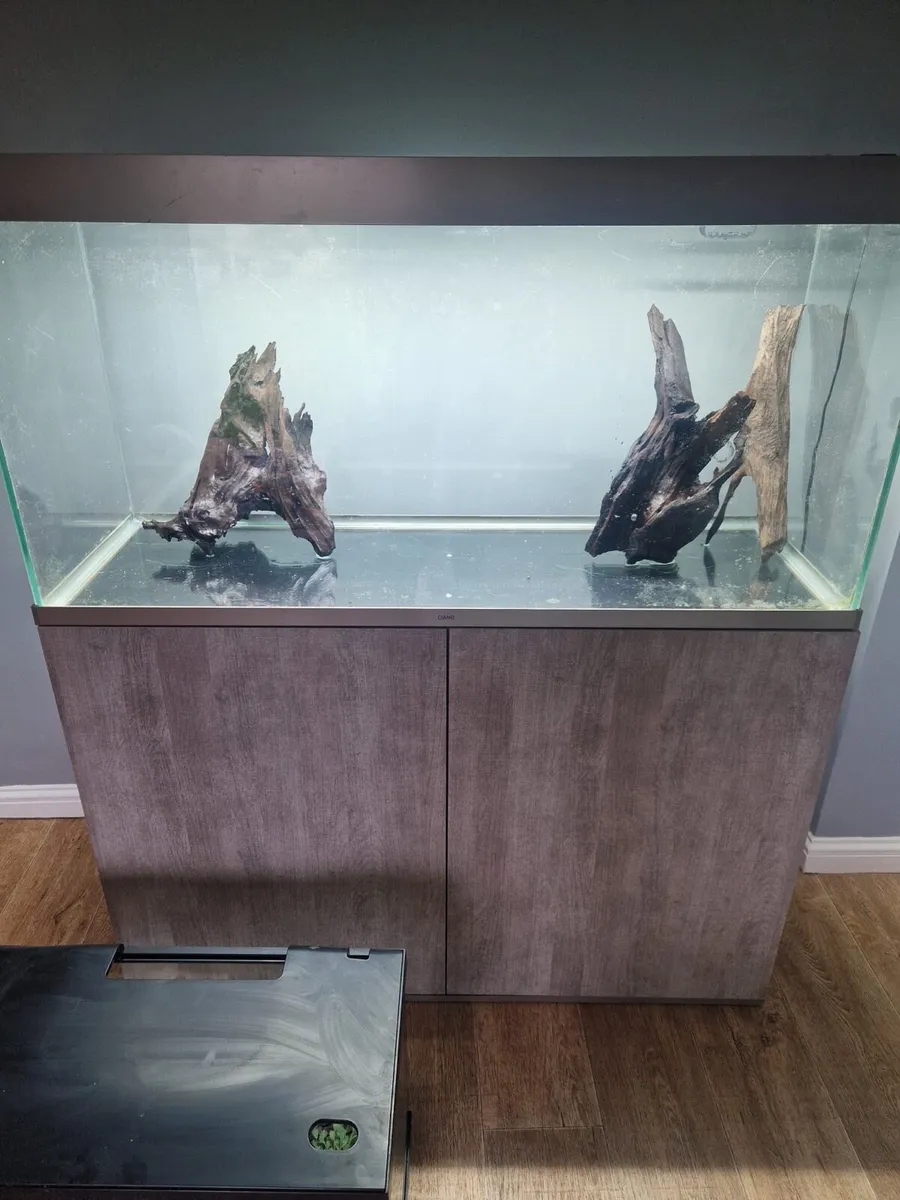 Aquariums x3 - Image 4