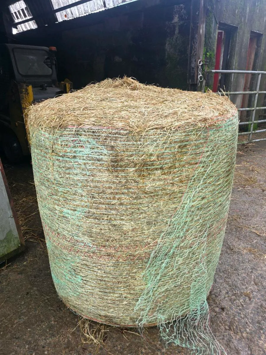 Haylage - Image 1