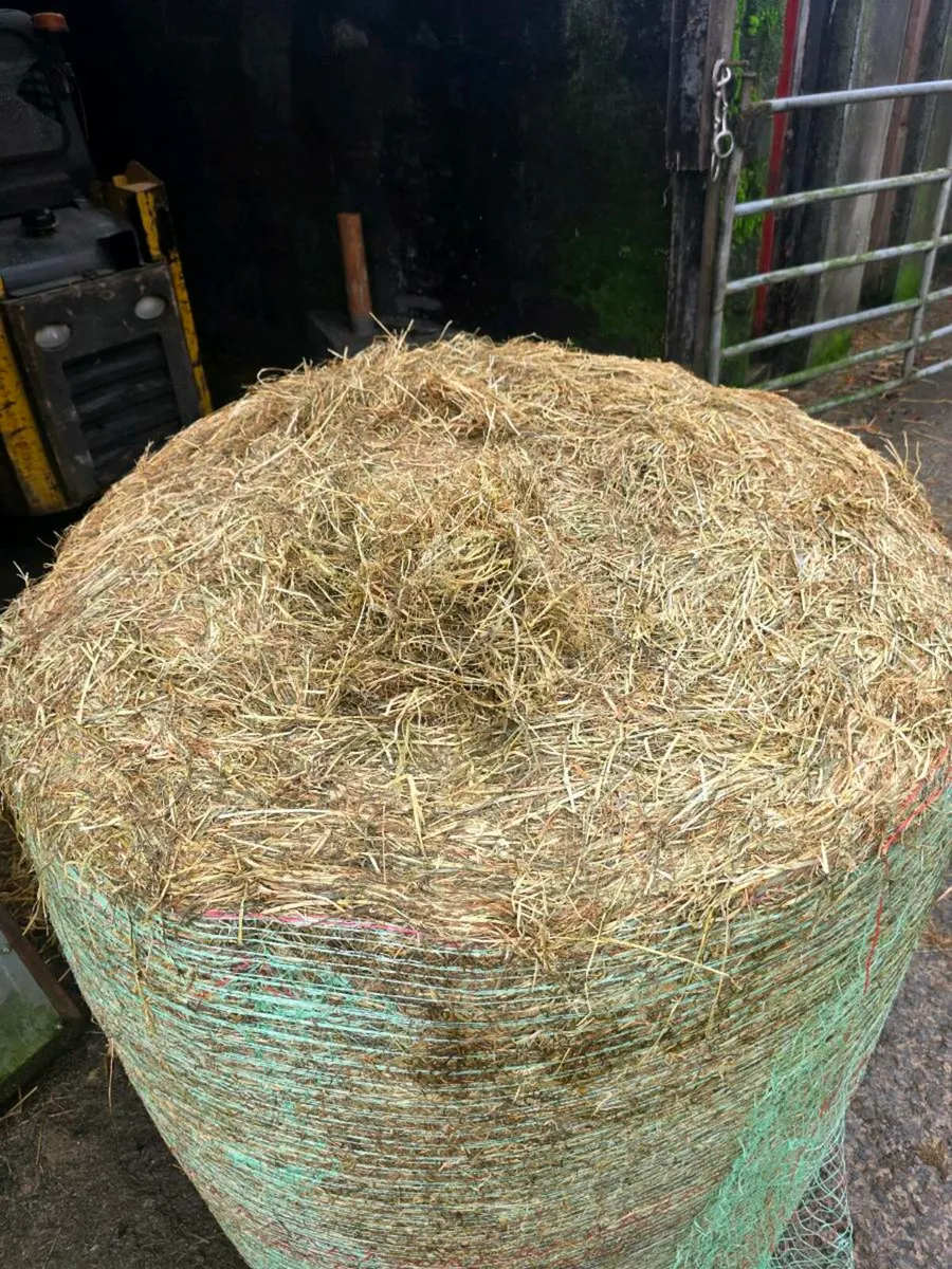 Haylage - Image 2