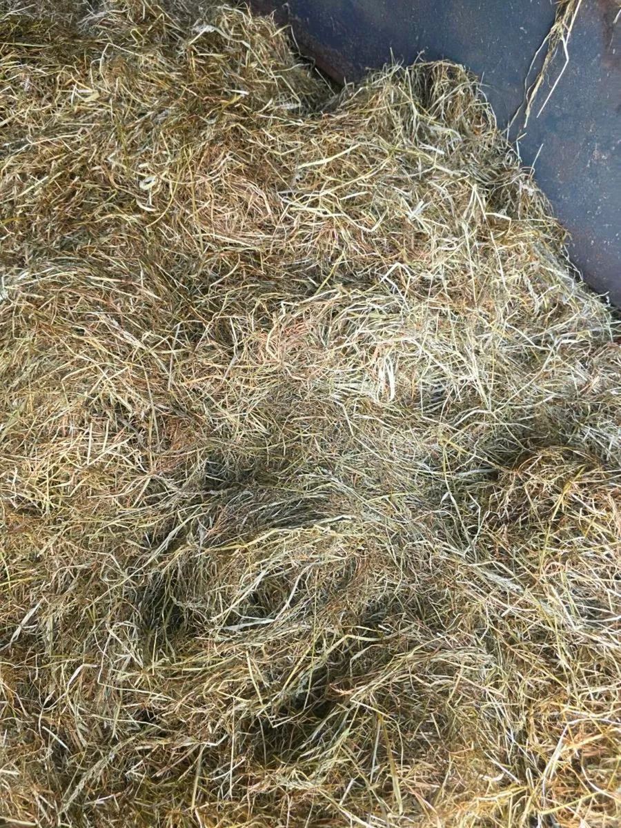 Haylage - Image 3