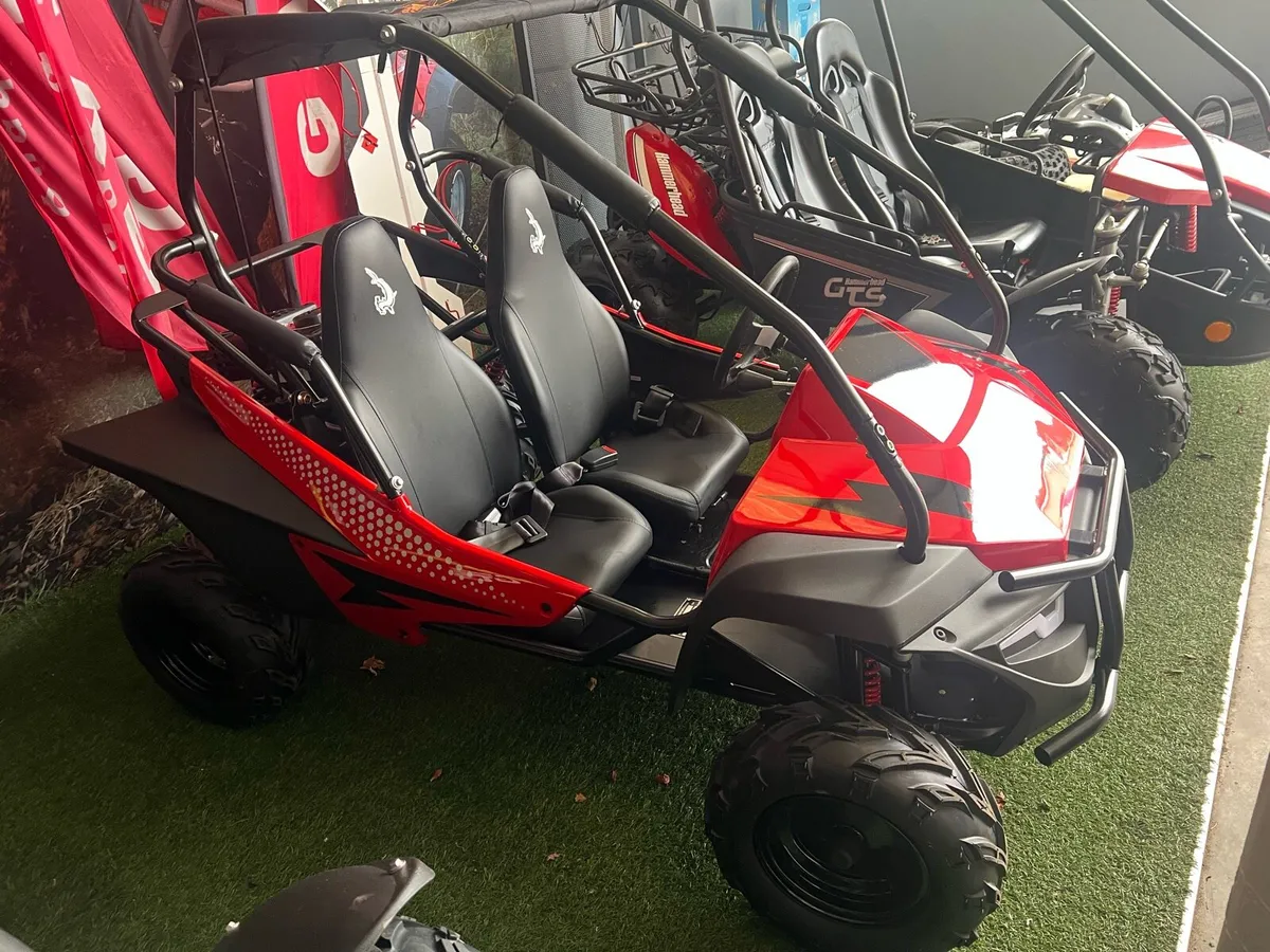 New Hammerhead Buggy’s - Image 2