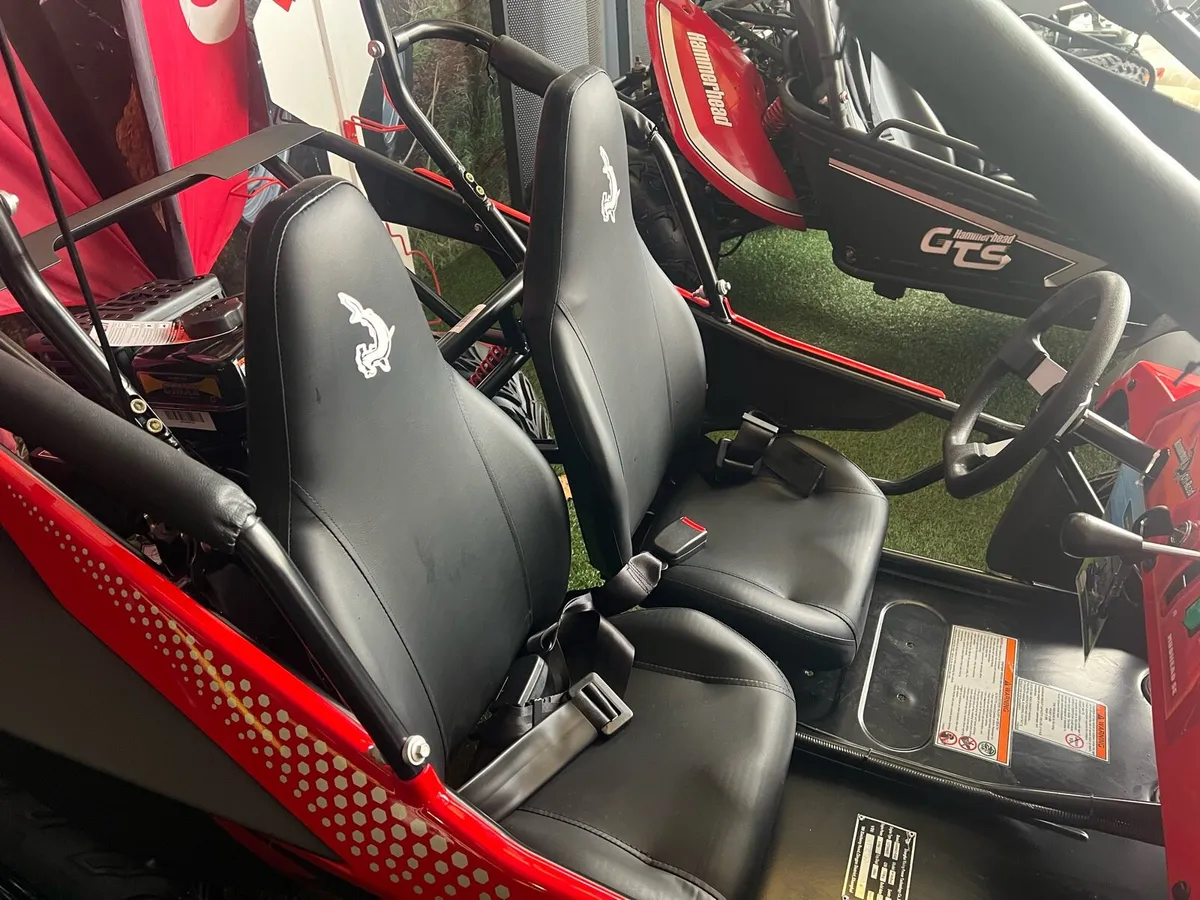 New Hammerhead Buggy’s - Image 4
