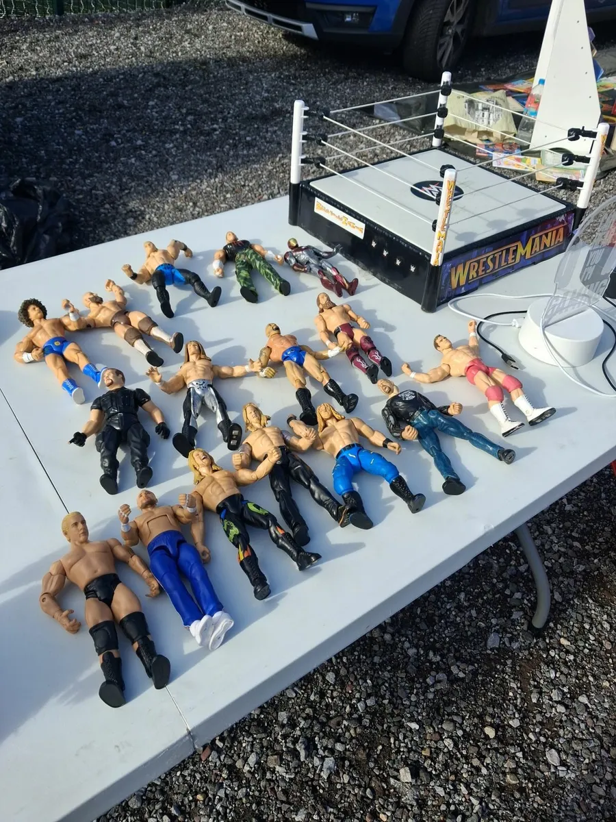 Wrestlers figures