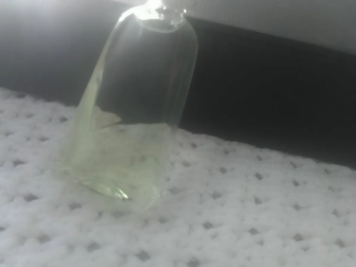 Thierry MUGLER original cologne unisex 10mls new - Image 4