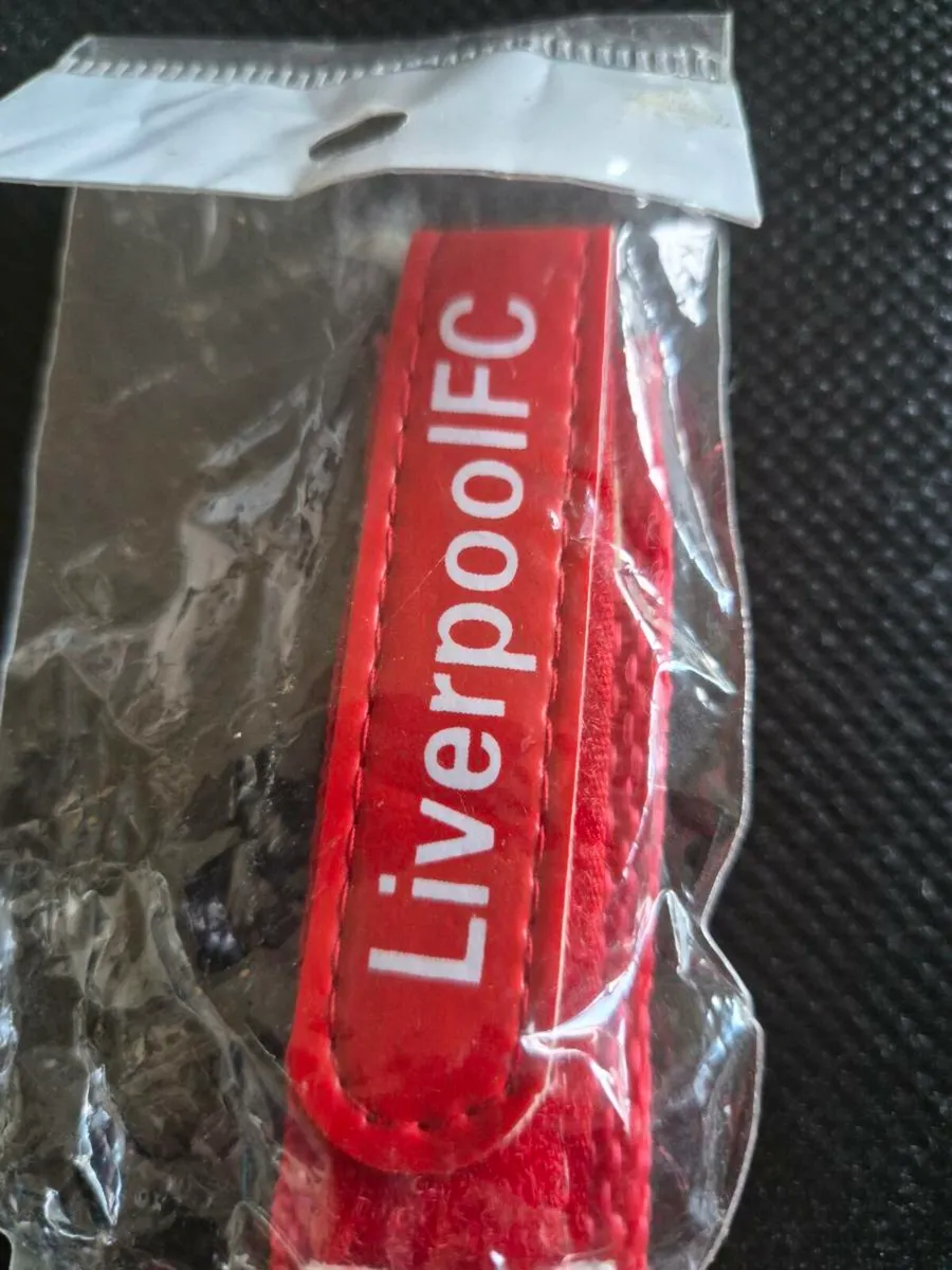 Liverpool watch - Image 2