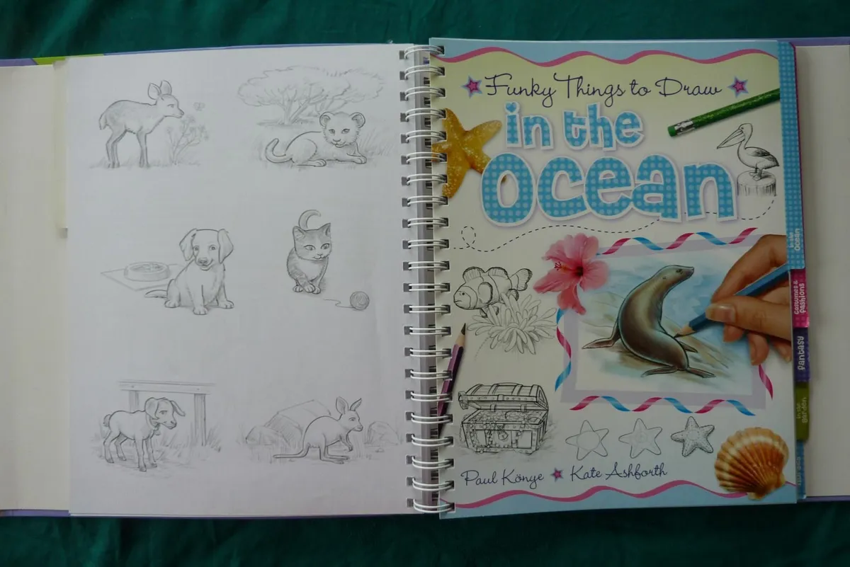 Lear to draw (books) - Image 2