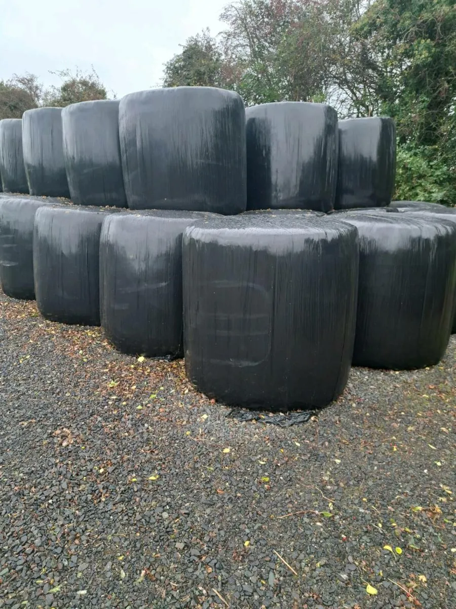 Silage bales - Image 2