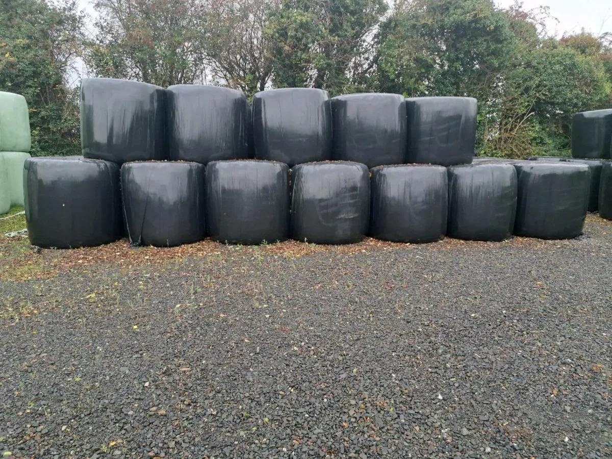 Silage bales - Image 1