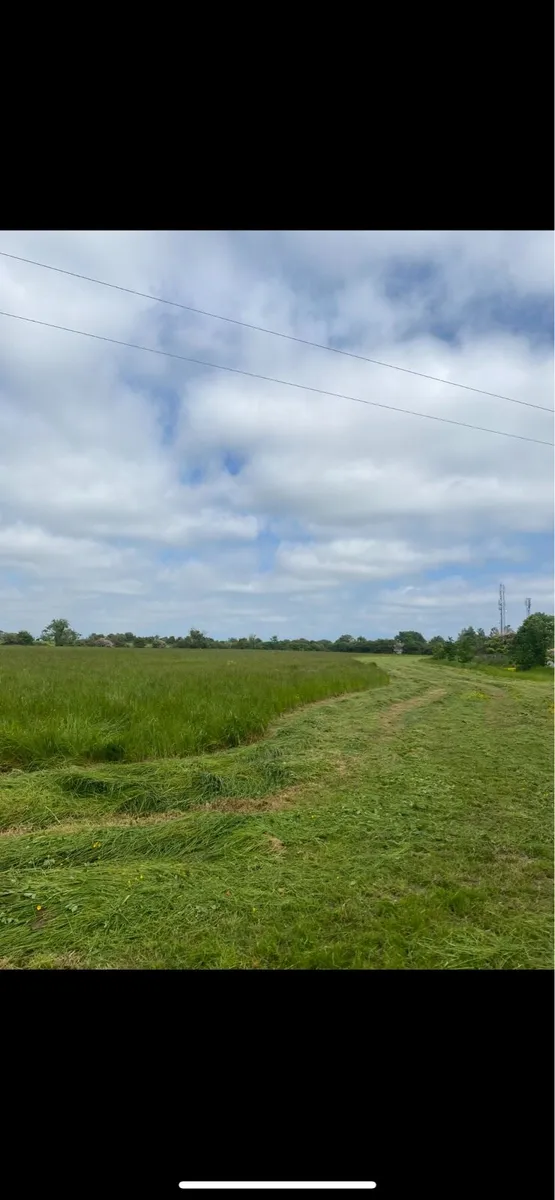 Looking for land to be farmed organically