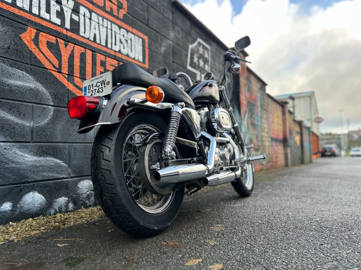 2001 HARLEY-DAVIDSON Sportster XL883C - Image 3