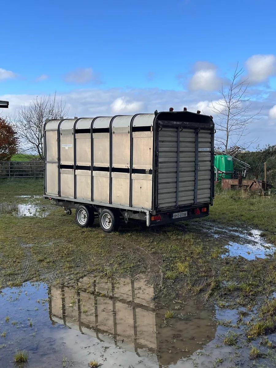 Ifor Williams Livestock Trailer - Image 3