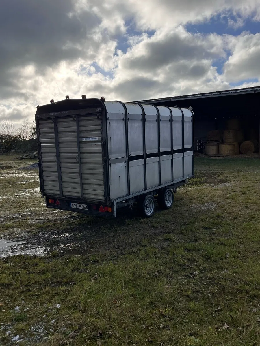 Ifor Williams Livestock Trailer - Image 4