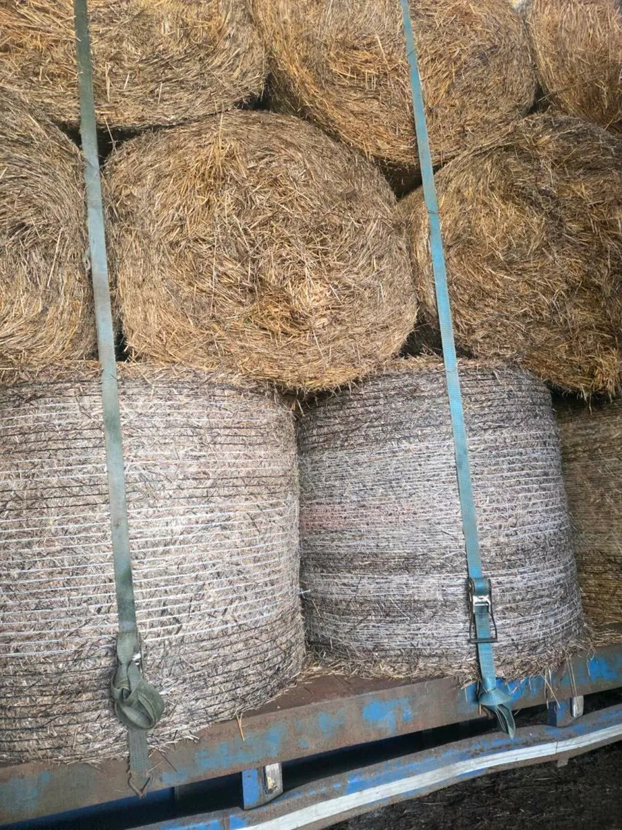 Barley straw - Image 2