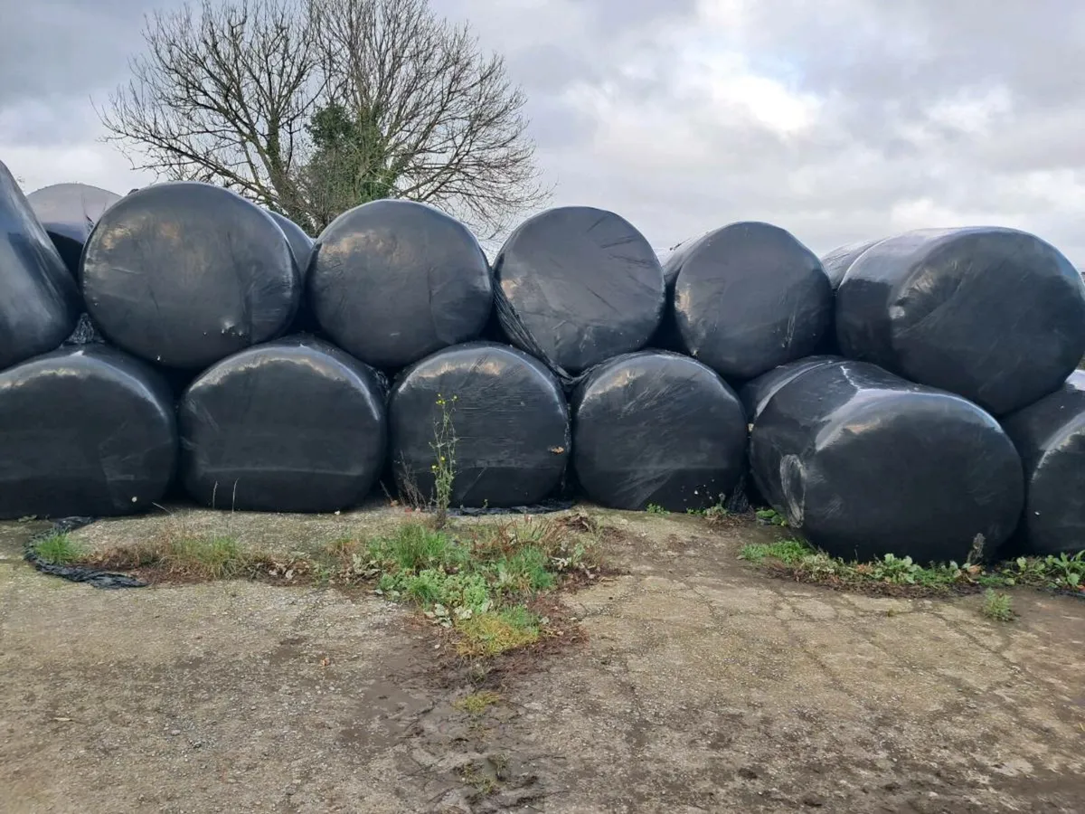 Silage bales