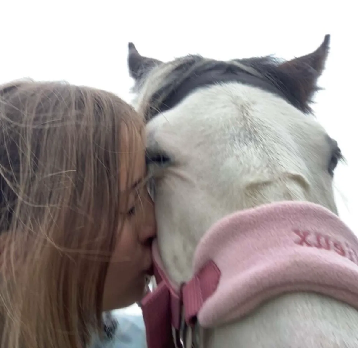 Cob x Mare to Foal Spring 2026 (Backed) - Image 3