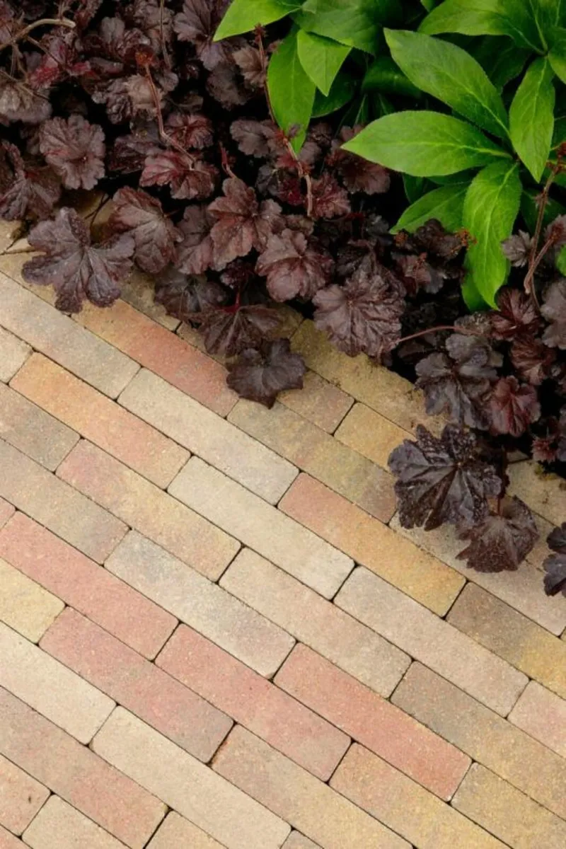 Kilsaran Inish Block Curragh Gold(Aged) 60mm - Image 2