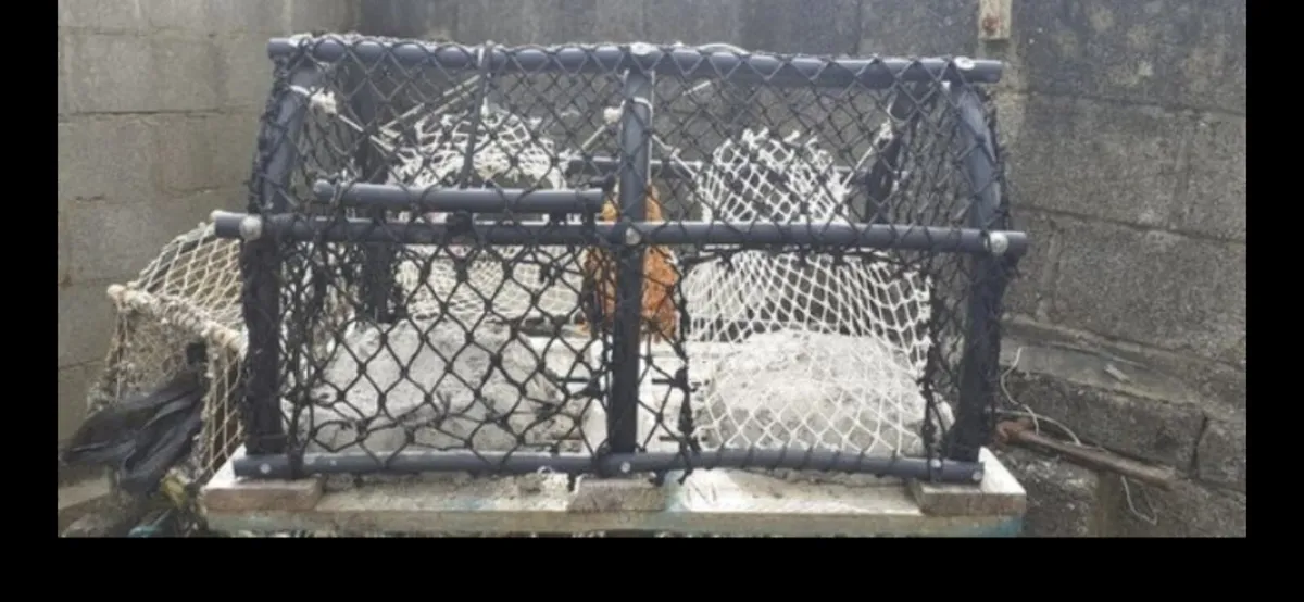 Lobster pots - Image 2