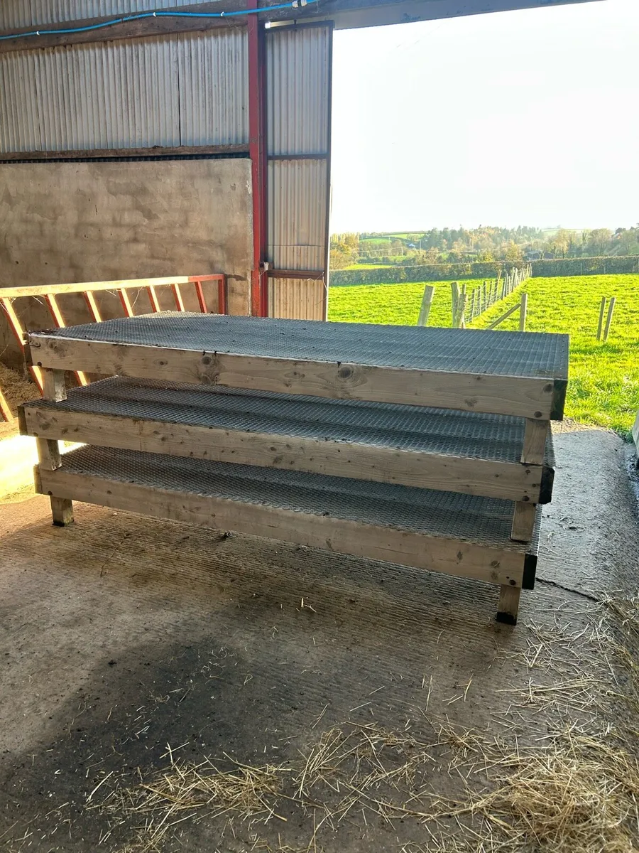 Sheep wire mesh - Image 1