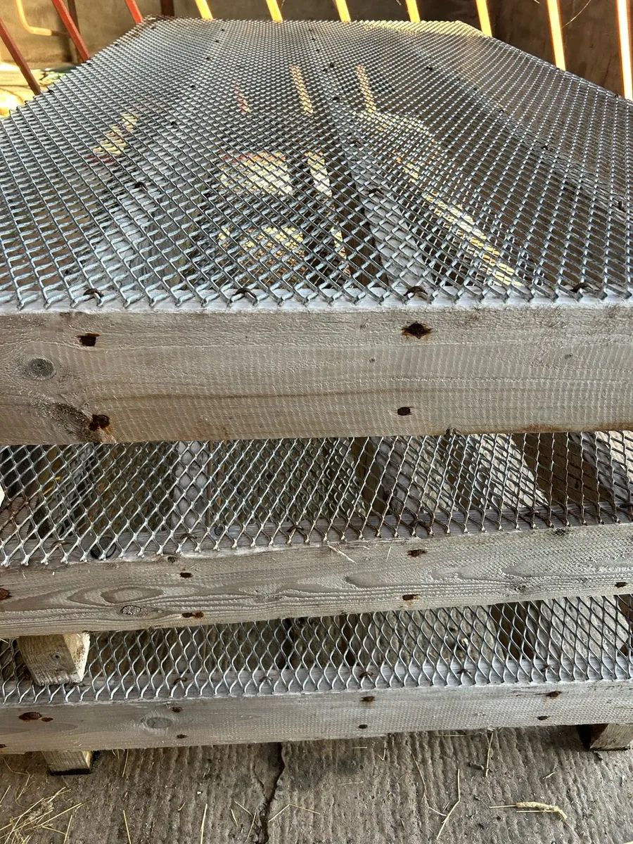 Sheep wire mesh - Image 2