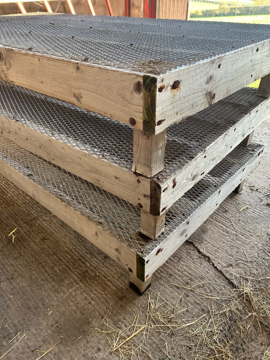 Sheep wire mesh - Image 3