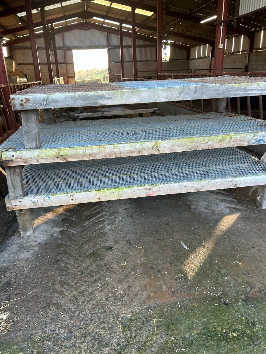 Sheep wire mesh - Image 4