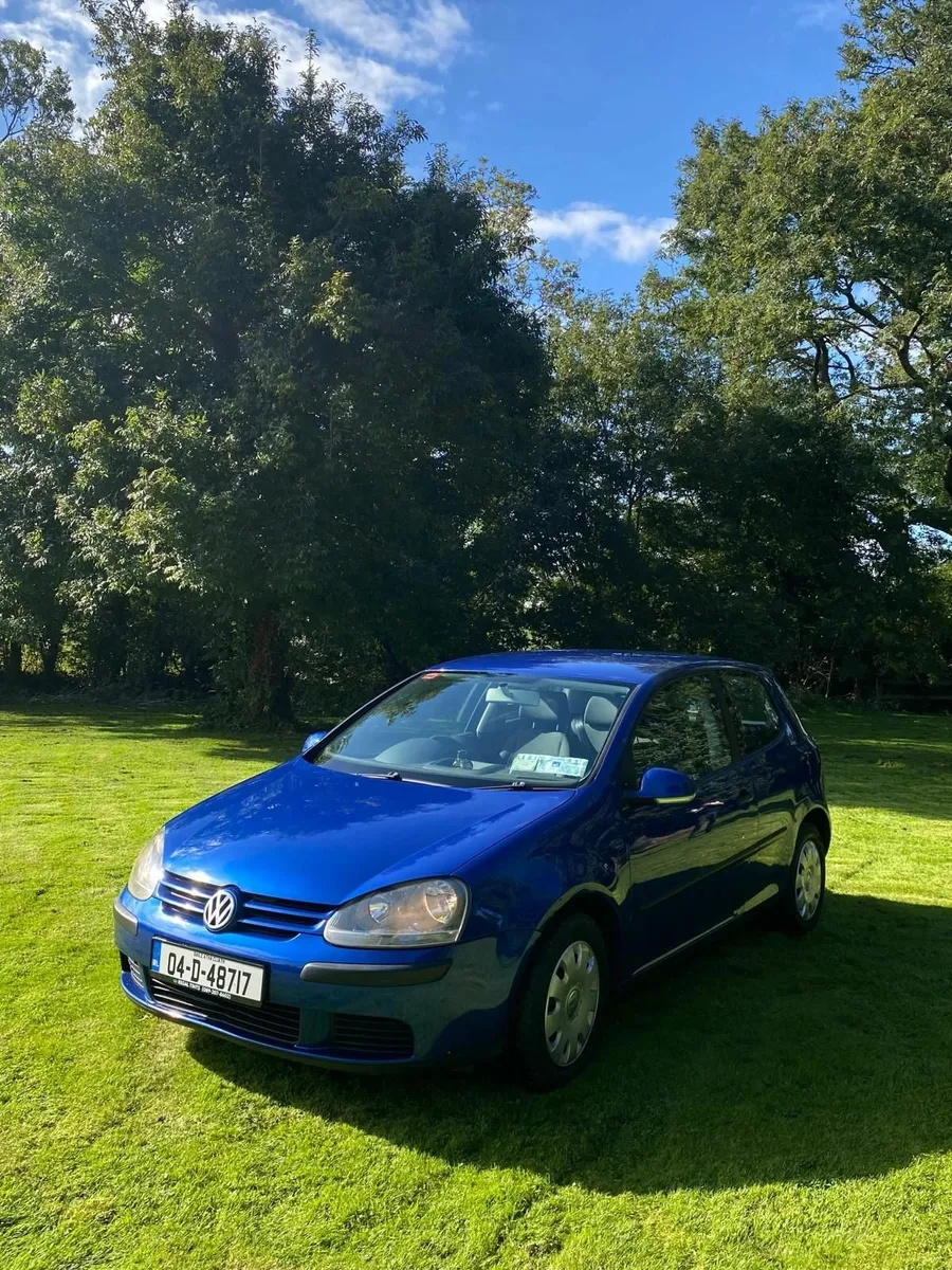 2004 Volkswagen Golf - Image 2