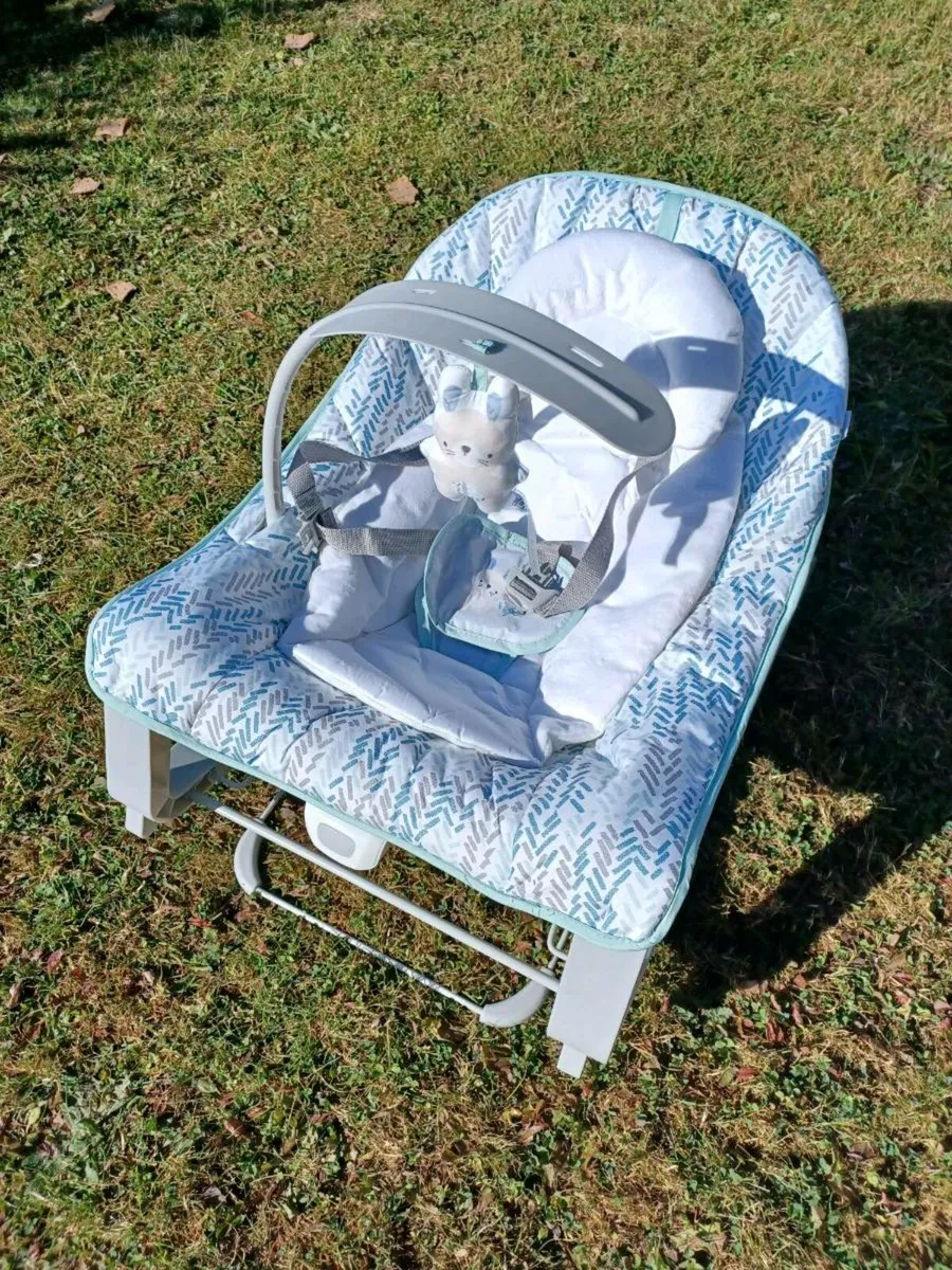Baby Bouncer - Image 1