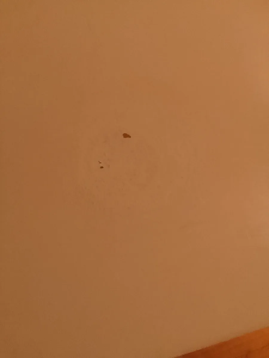 White gloss press - Image 3