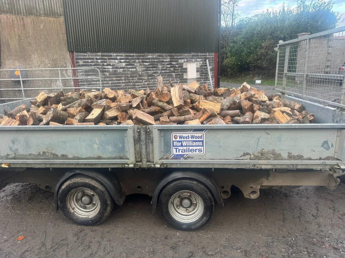 Timber beach and ash log - Image 2