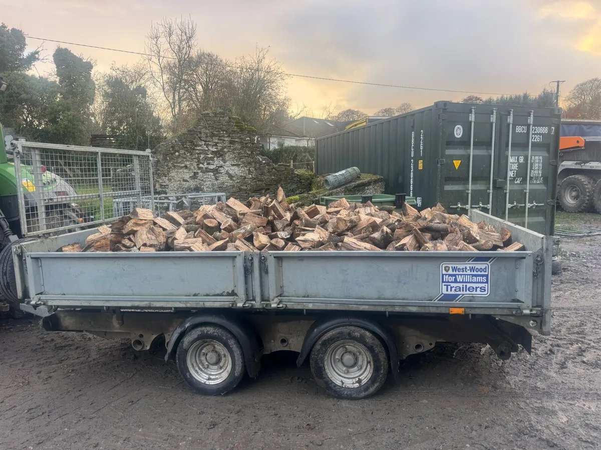 Timber beach and ash log - Image 3