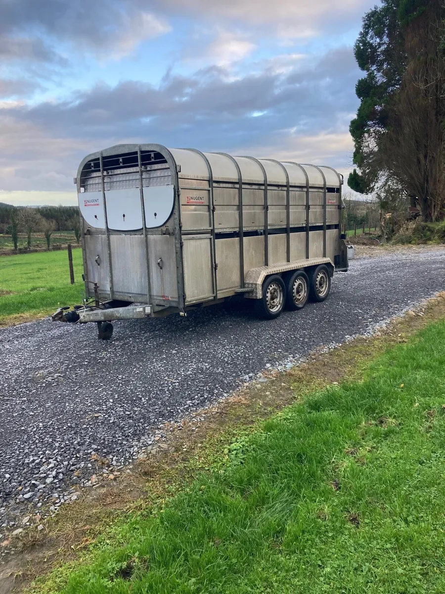 Nugent 14x6 Livestock trailer - Image 1
