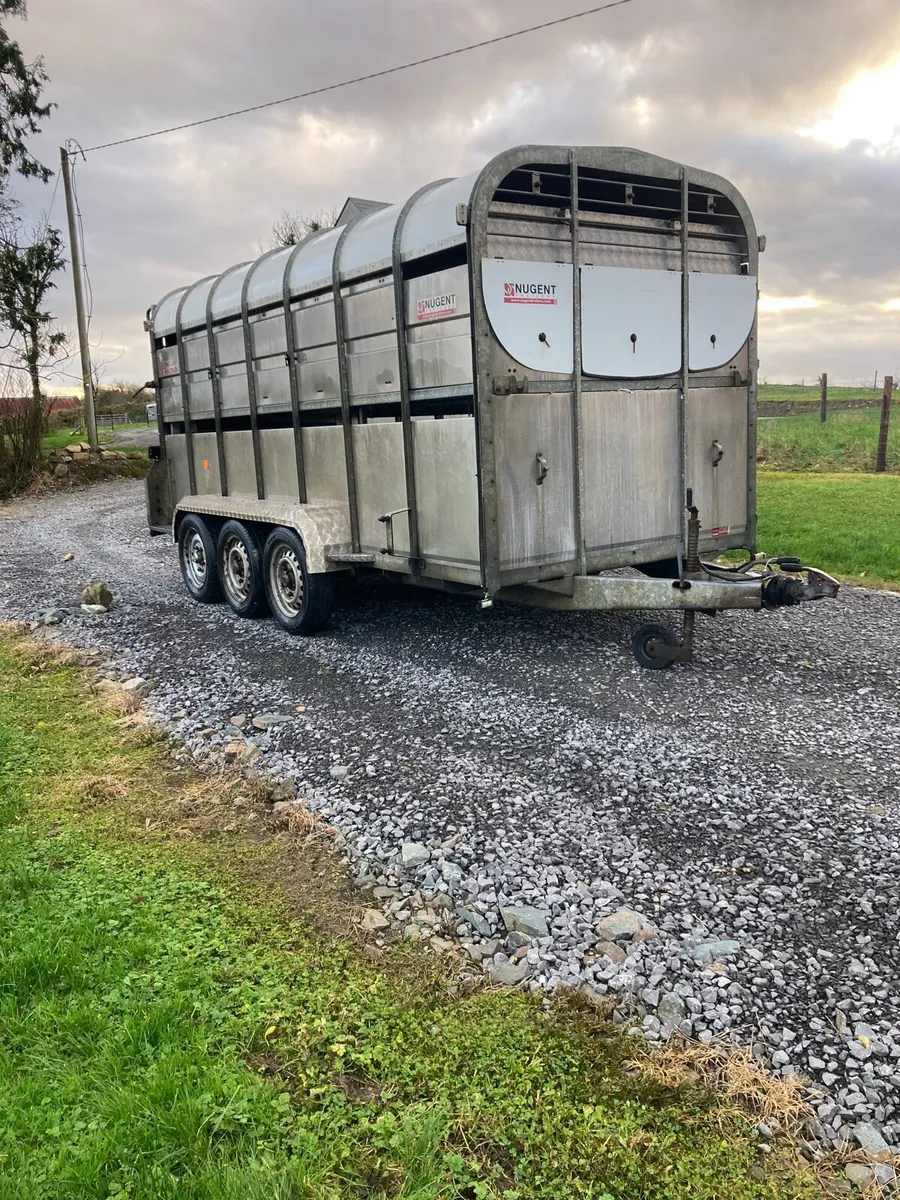 Nugent 14x6 Livestock trailer - Image 3