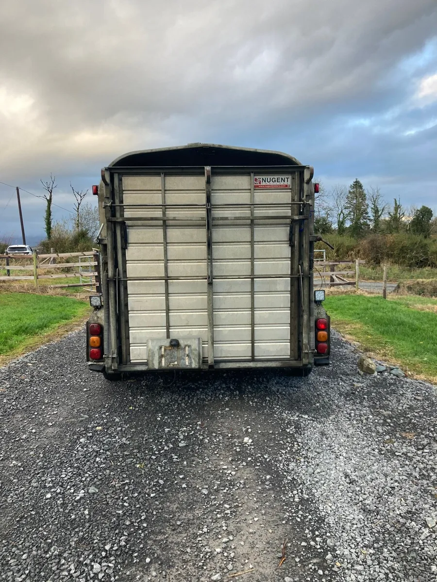 Nugent 14x6 Livestock trailer - Image 4