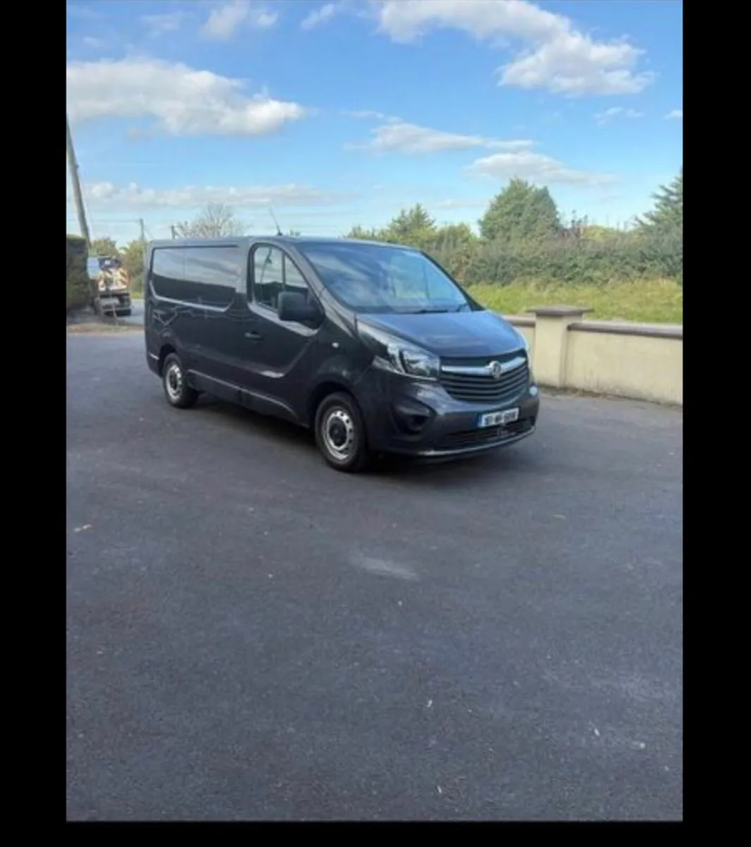 Open vivaro - Image 1