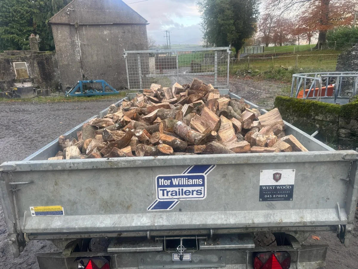Timber beach and ash log - Image 1