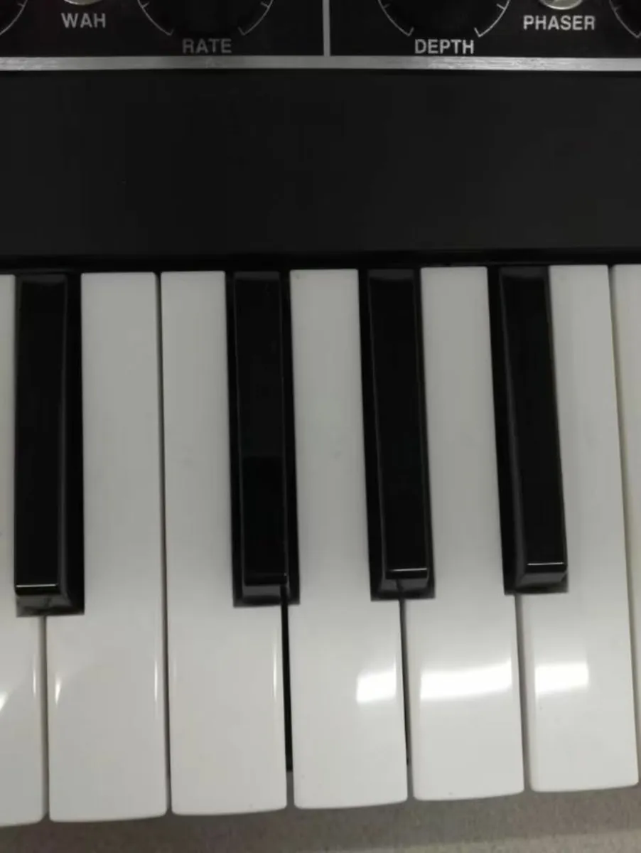 Yamaha Reface CP like new with bag sustain pedal - Image 4