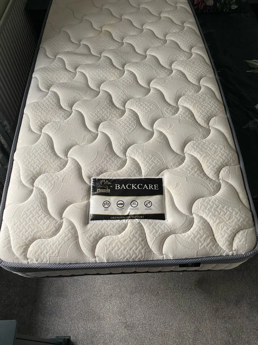 Trundle bed and nearly new mattresses - Image 3