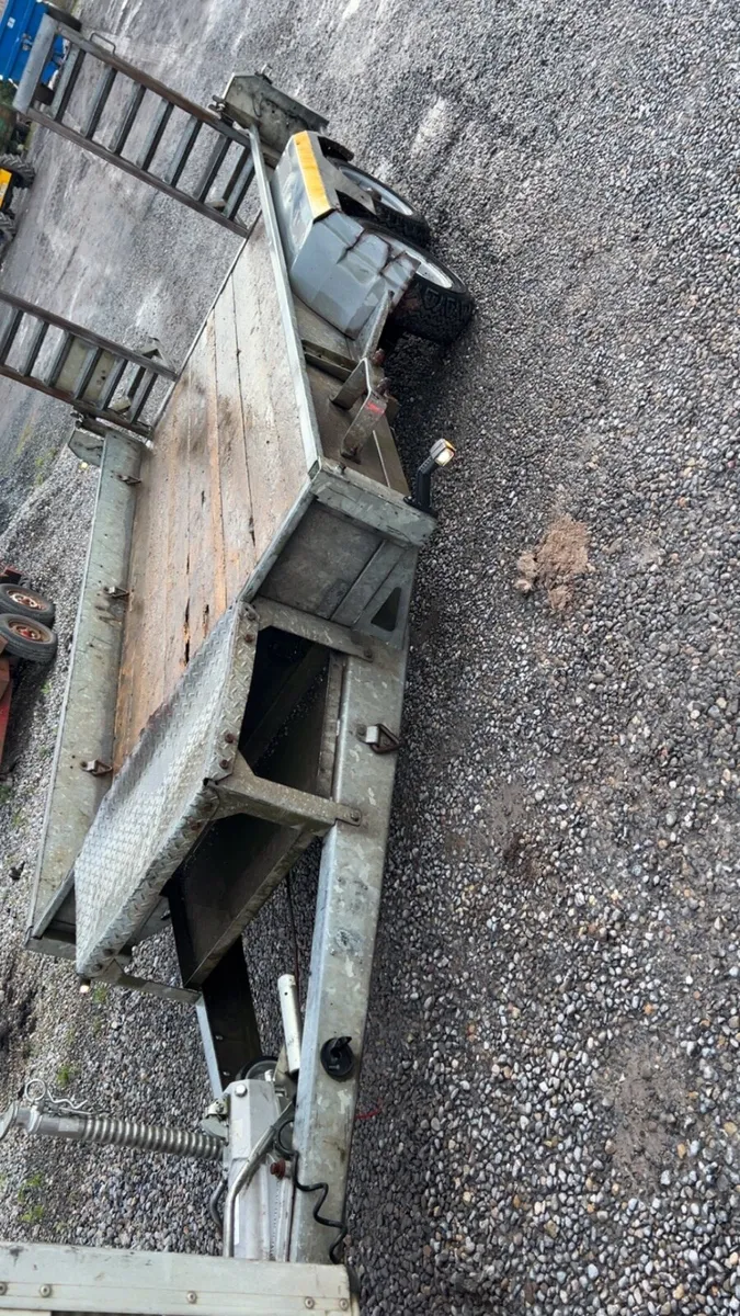 Nugent 12 x6 plant trailer - Image 4