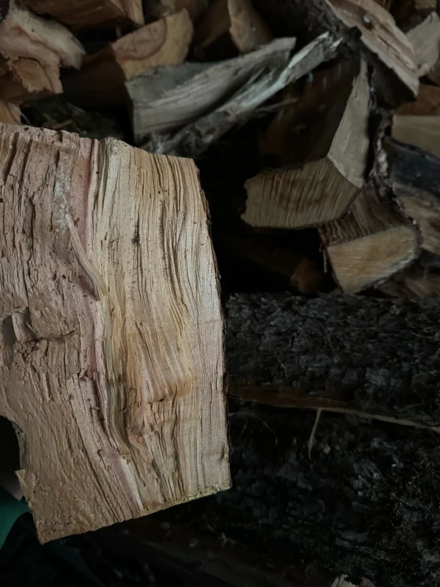 Firewood - Image 4