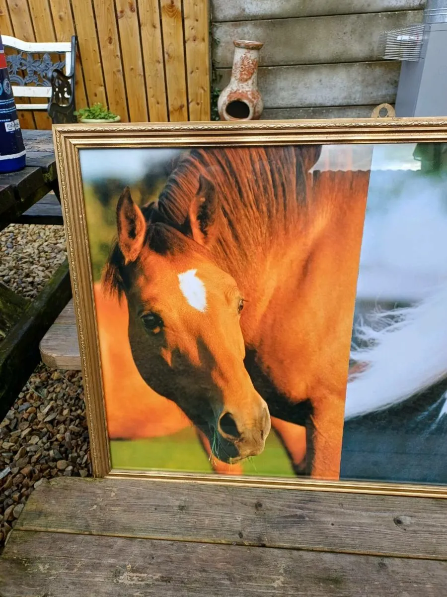 Vintage Equestrian Picture - Image 2