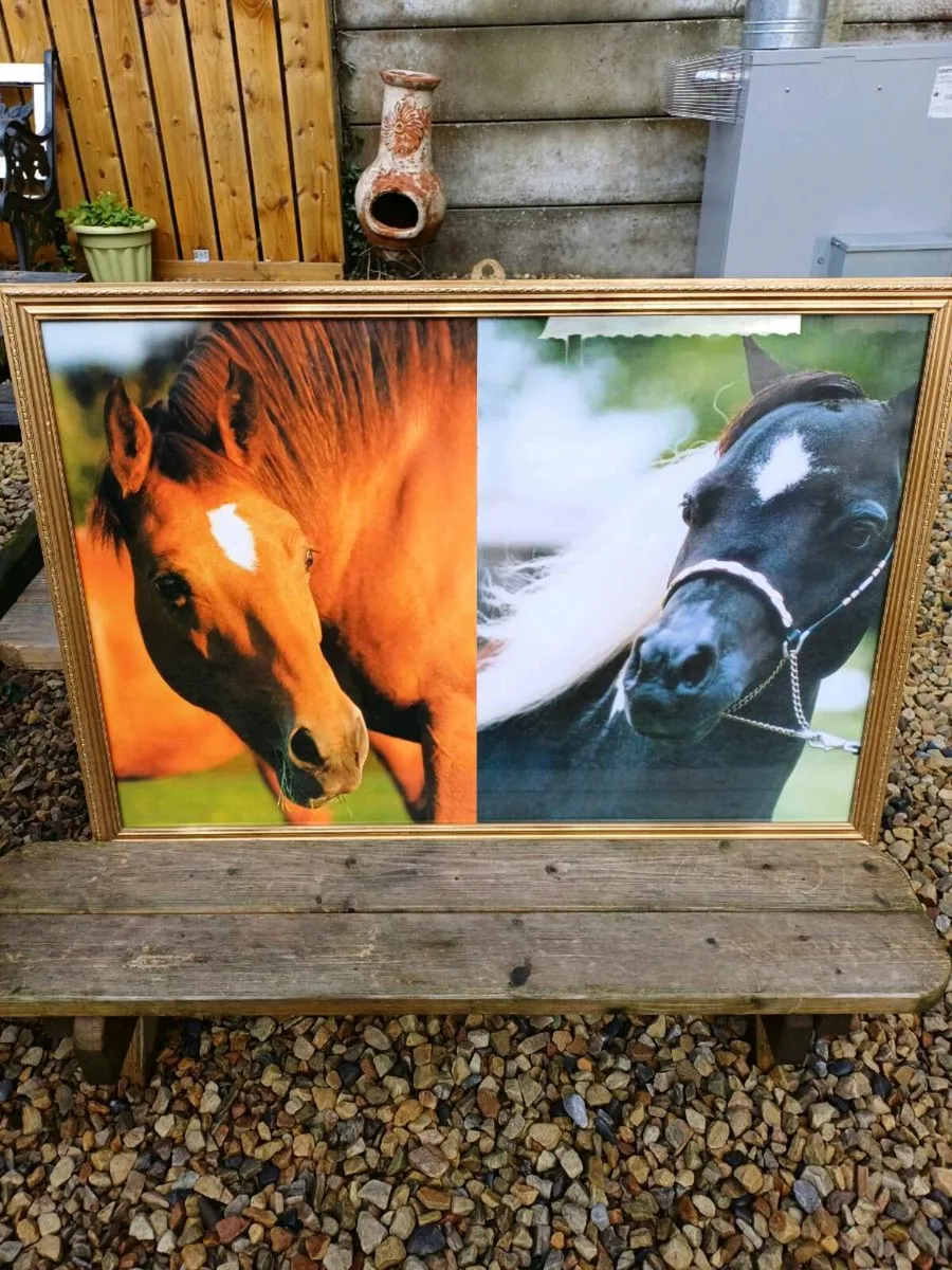 Vintage Equestrian Picture - Image 3