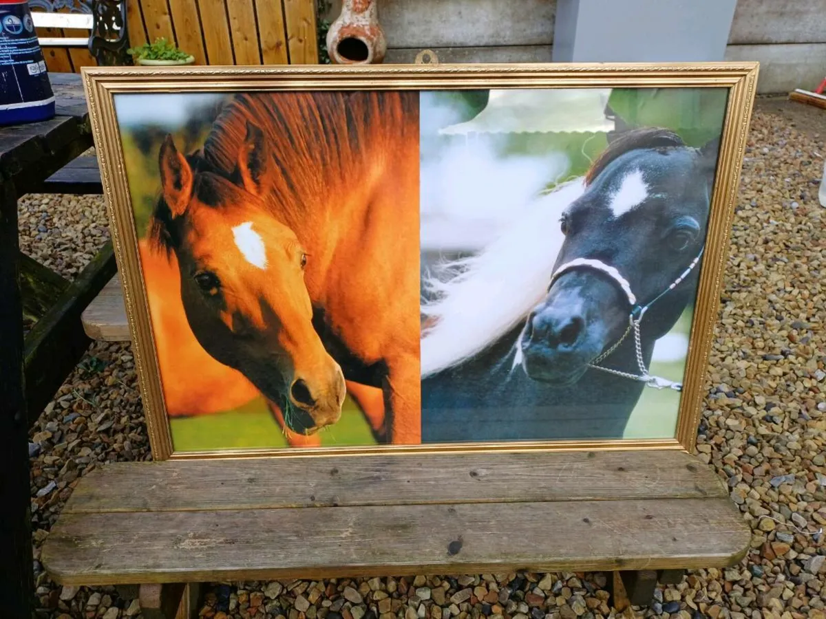 Vintage Equestrian Picture - Image 4