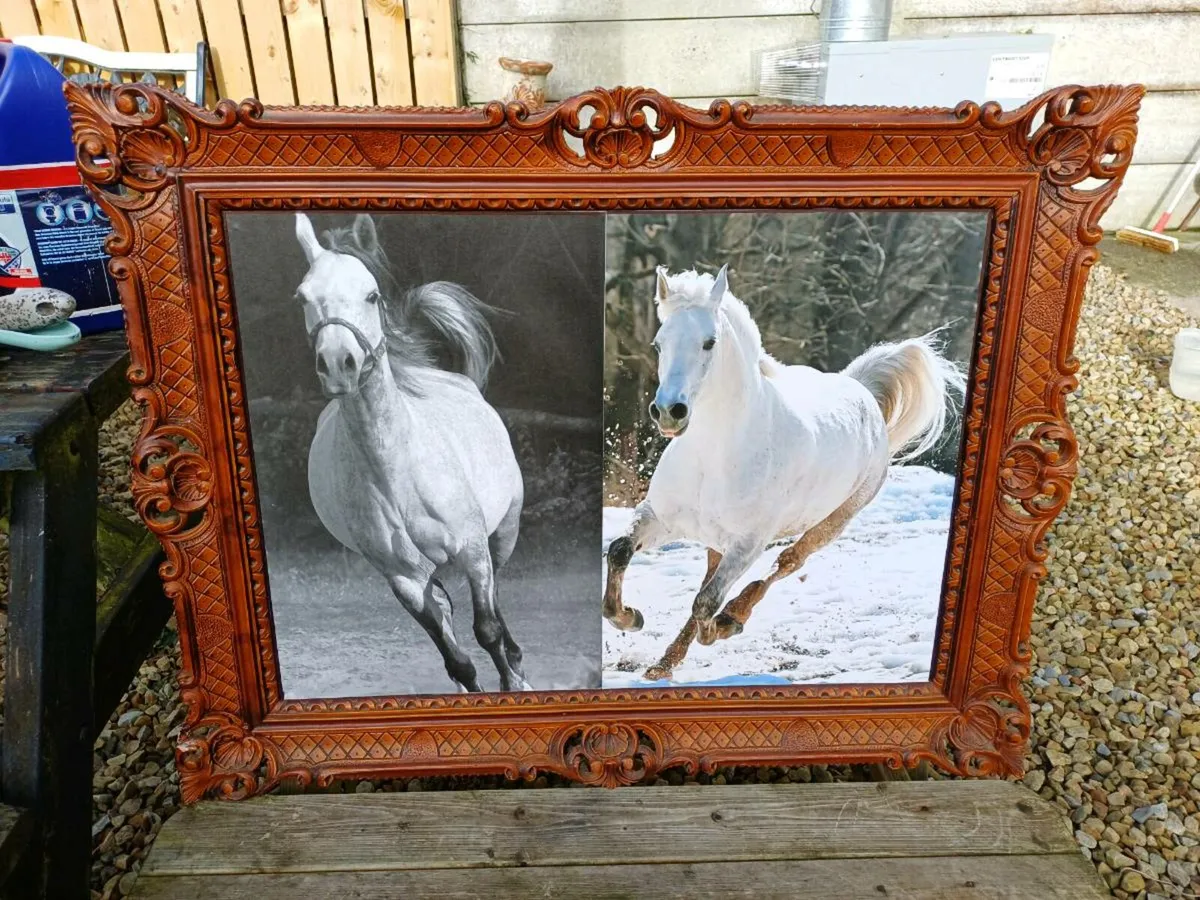 Vintage Equestrian Picture - Image 1