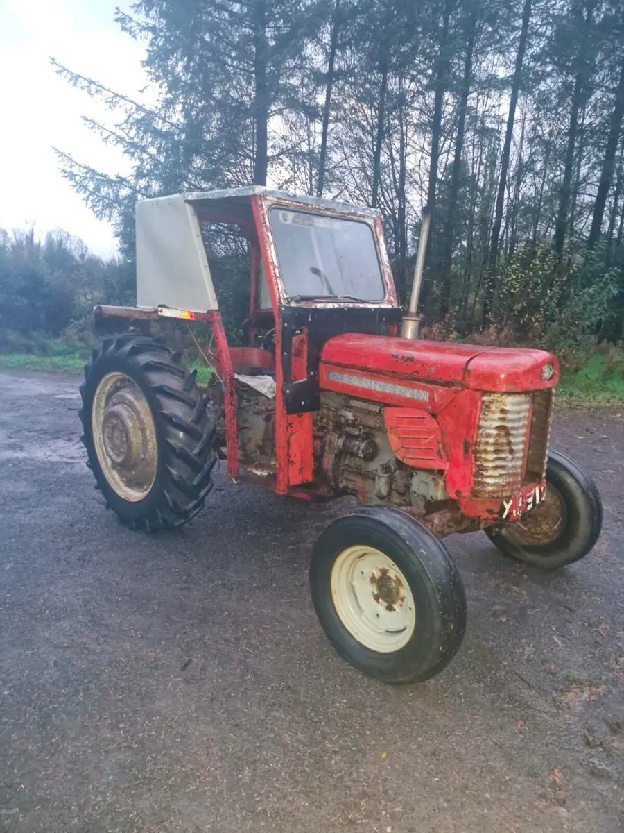 Massey ferguson 65 - Image 2