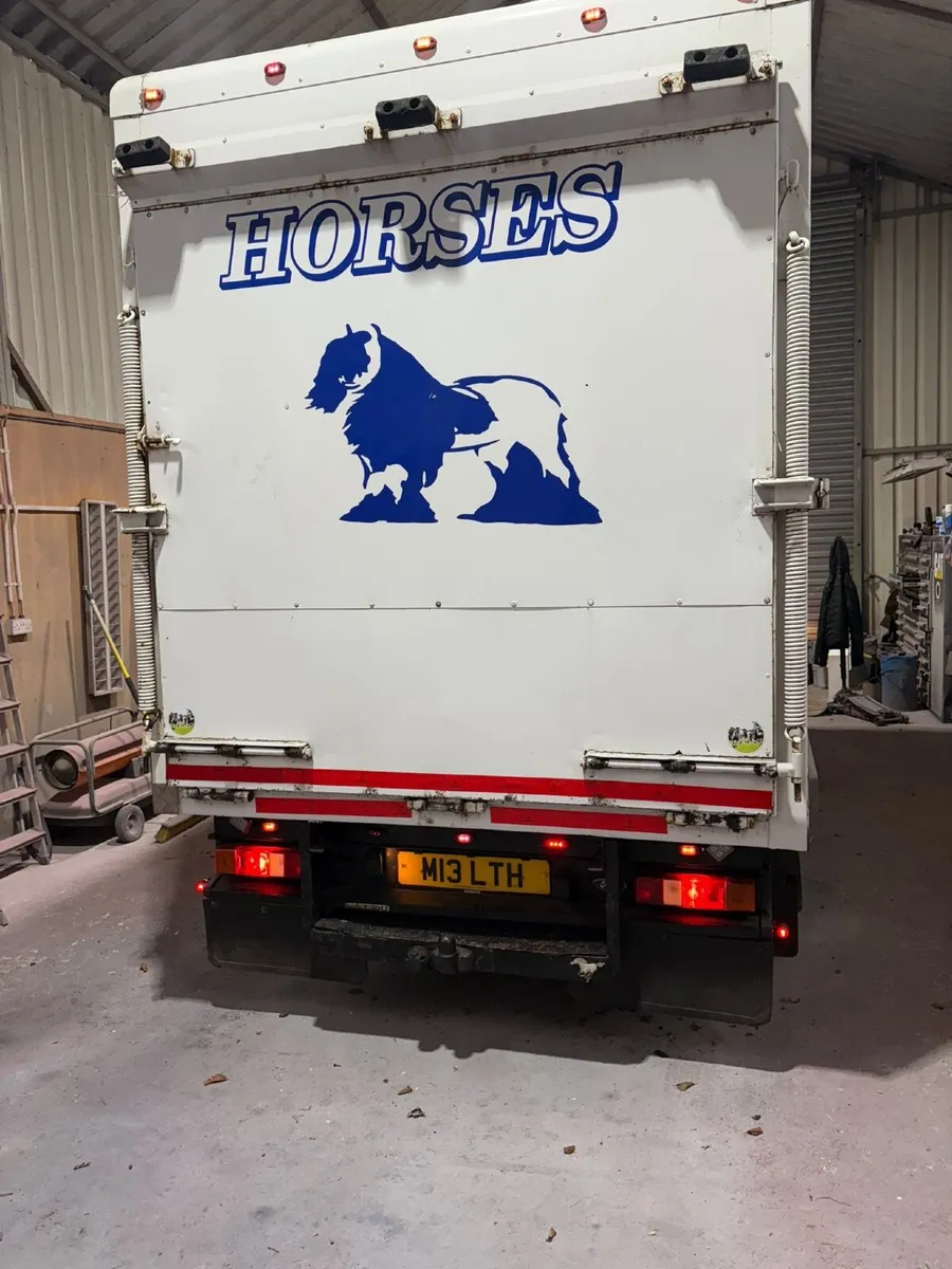 2007 Ford Transit Horsebox 3.5 ton - Image 3