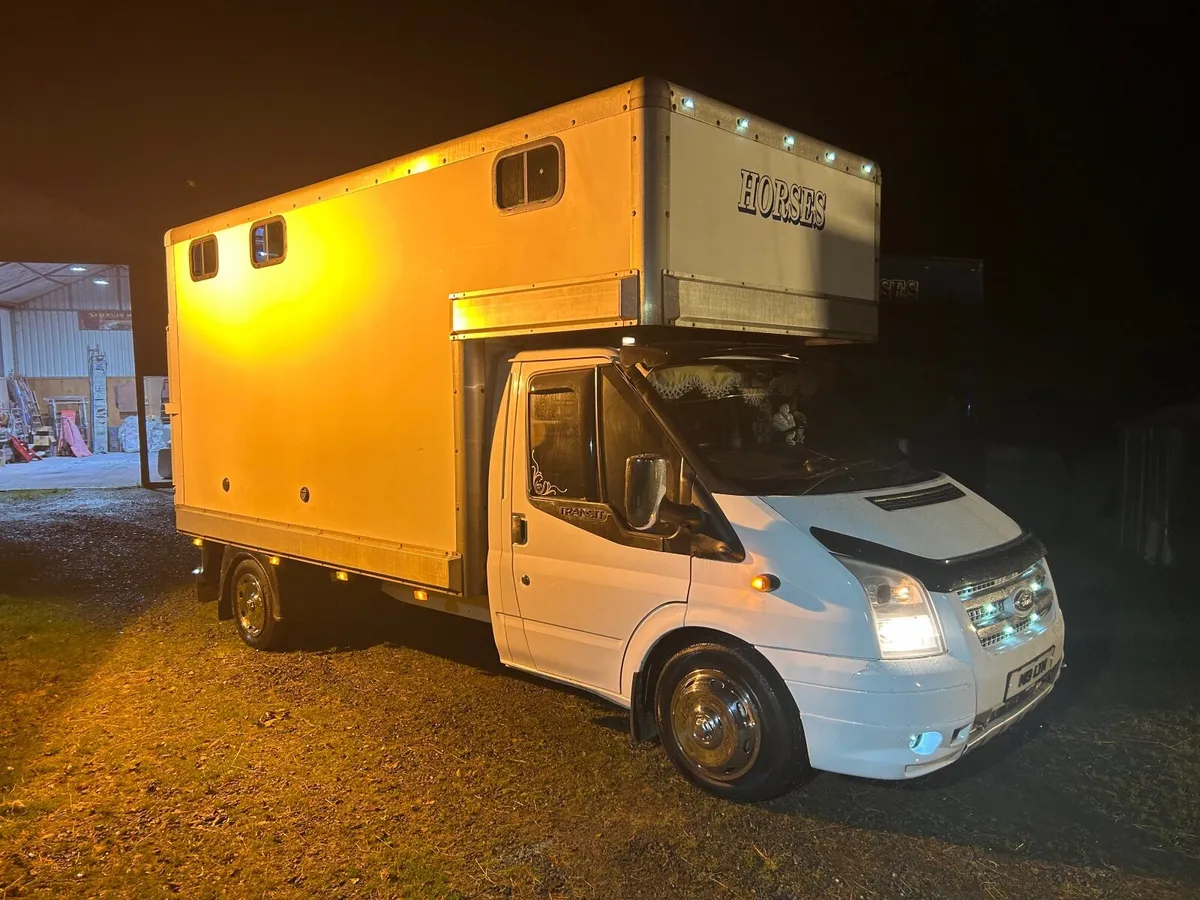 2007 Ford Transit Horsebox 3.5 ton - Image 1