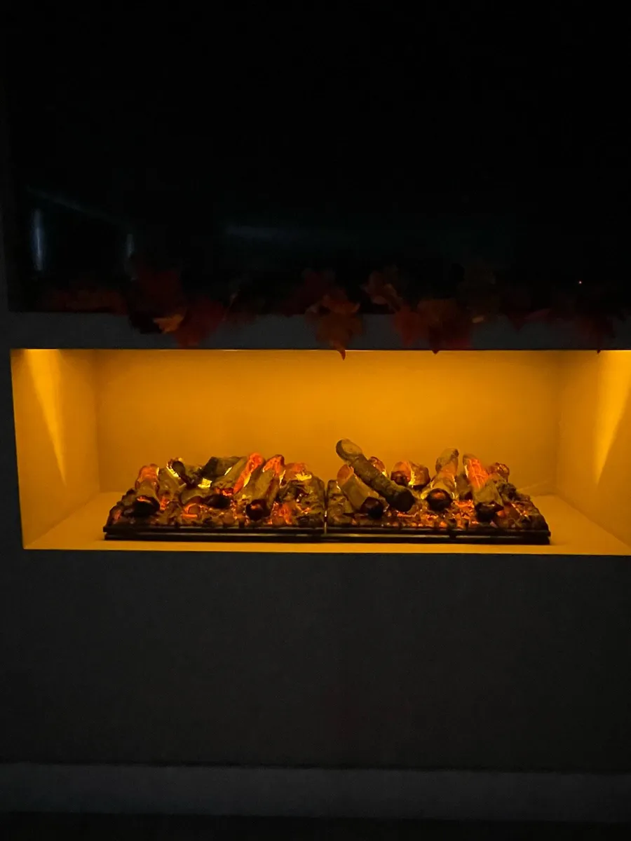 Electric Fire - Image 2
